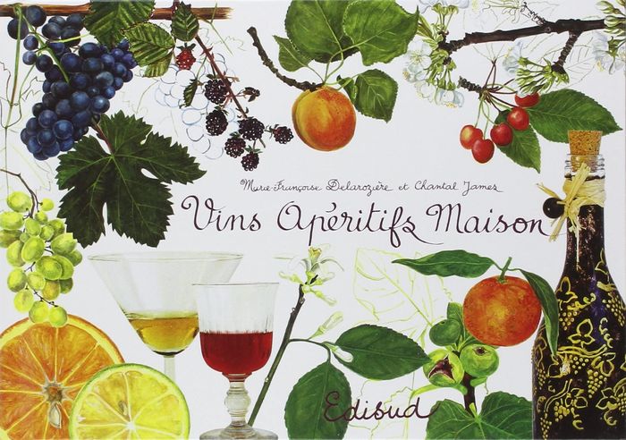 Couverture du livre « VINS APERITIFS MAISON », librairie Les Contes Infusés à Corte