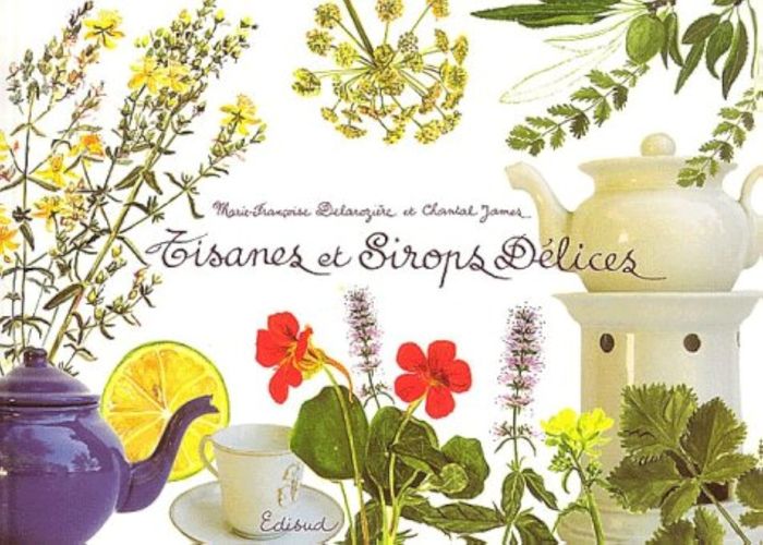 Couverture du livre « TISANES ET SIROPS DELICES » de Delaroziere/james, librairie Les Contes Infusés à Corte