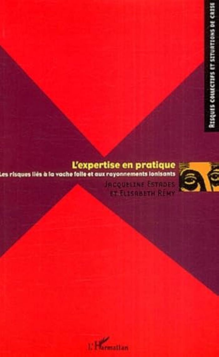 Couverture du livre « L'EXPERTISE EN PRATIQUE - LES RISQUES LIES A LA VACHE FOLLE ET AUX RAYONNEMENTS IONISANTS » de Remy/estades, librairie Les Contes Infusés à Corte