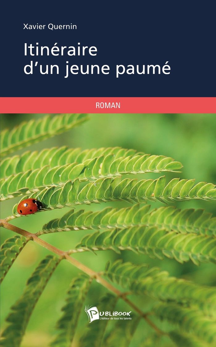 Couverture du livre « ITINERAIRE D'UN JEUNE PAUME » de Xavier Quernin, librairie Les Contes Infusés à Corte
