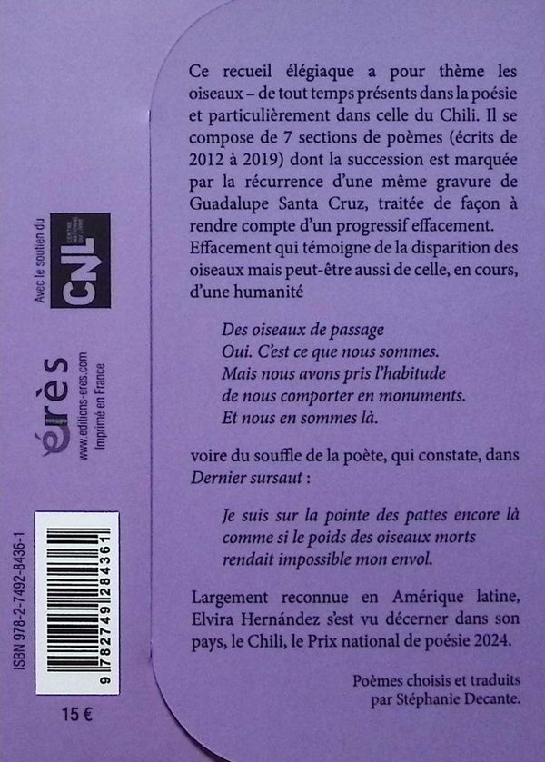 Quatrième de couverture de « Tout ce qui vole n est pas oiseau »