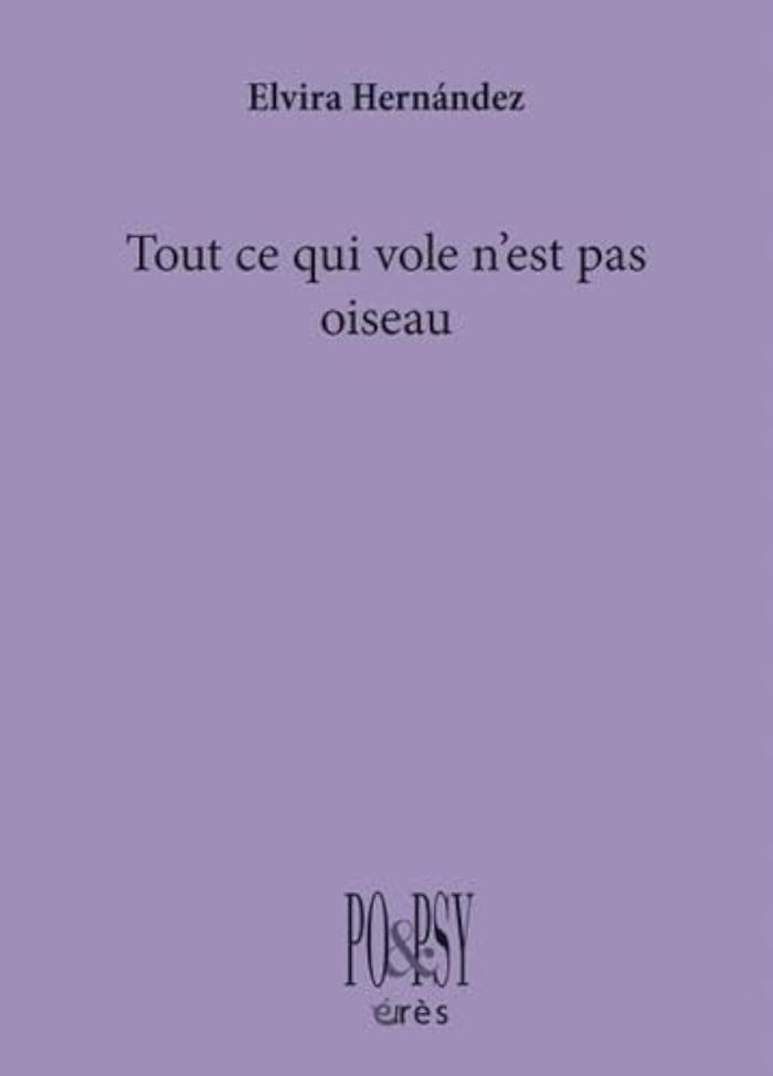 Couverture du livre « Tout ce qui vole n est pas oiseau » de Elvira Hermandez, librairie Les Contes Infusés à Corte