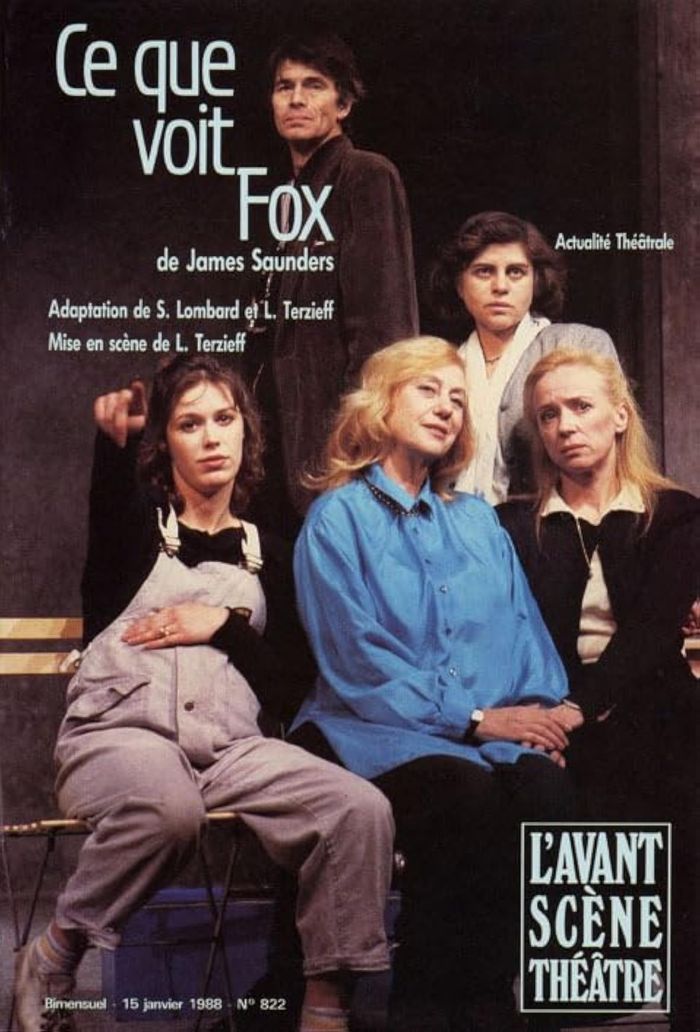 Couverture du livre « CE QUE VOIT FOX » de James Saunders, librairie Les Contes Infusés à Corte