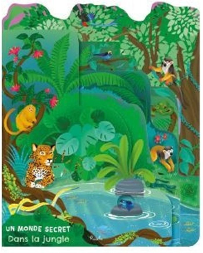 Couverture du livre « Dans la jungle » de Collectif, librairie Les Contes Infusés à Corte