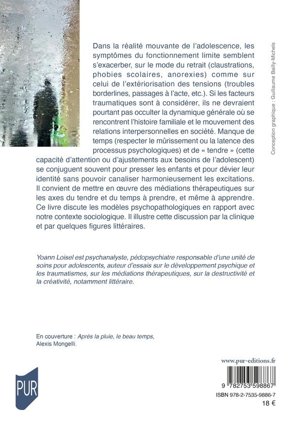 Quatrième de couverture de « Malaise dans l adolescence : soigner les états limites aujourd hui : réaccorder le temps et le tendre »