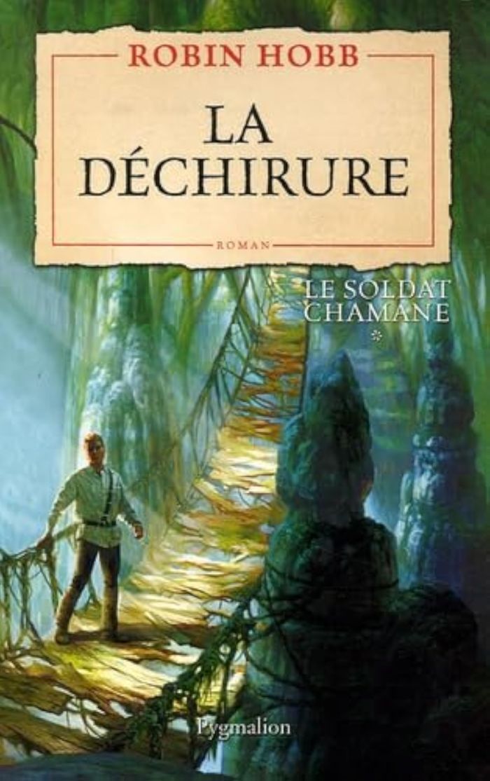 Couverture du livre « La déchirure : roman », librairie Les Contes Infusés à Corte