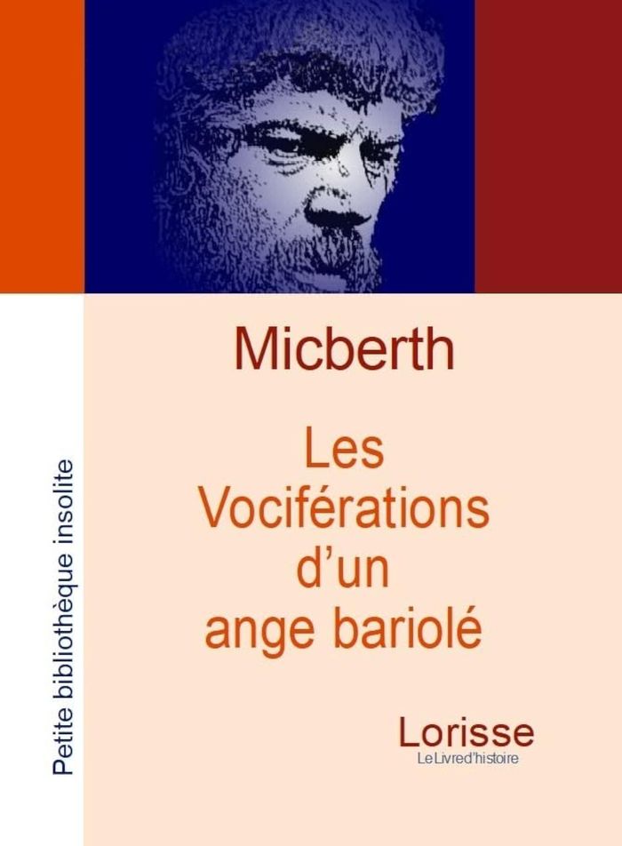 Couverture du livre « LES VOCIFERATIONS D'UN ANGE BARIOLE » de M-G. Micberth, librairie Les Contes Infusés à Corte