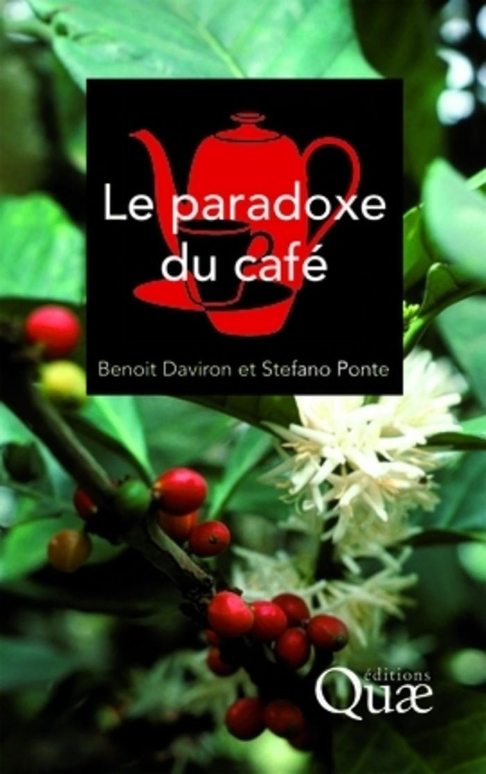 Couverture du livre « LE PARADOXE DU CAFE », librairie Les Contes Infusés à Corte