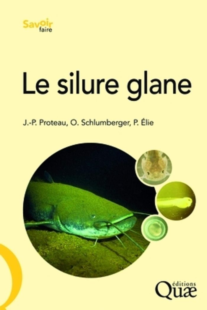 Couverture du livre « LE SILURE GLANE - BIOLOGIE, ECOLOGIE, ELEVAGE » de Proteau/schlumberger, librairie Les Contes Infusés à Corte