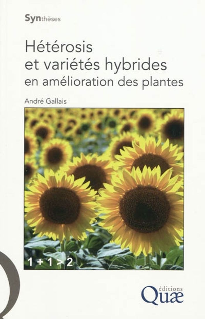 Couverture du livre « HETEROSIS ET VARIETES HYBRIDES EN AMELIORATION DES PLANTES » de Andre Gallais, librairie Les Contes Infusés à Corte