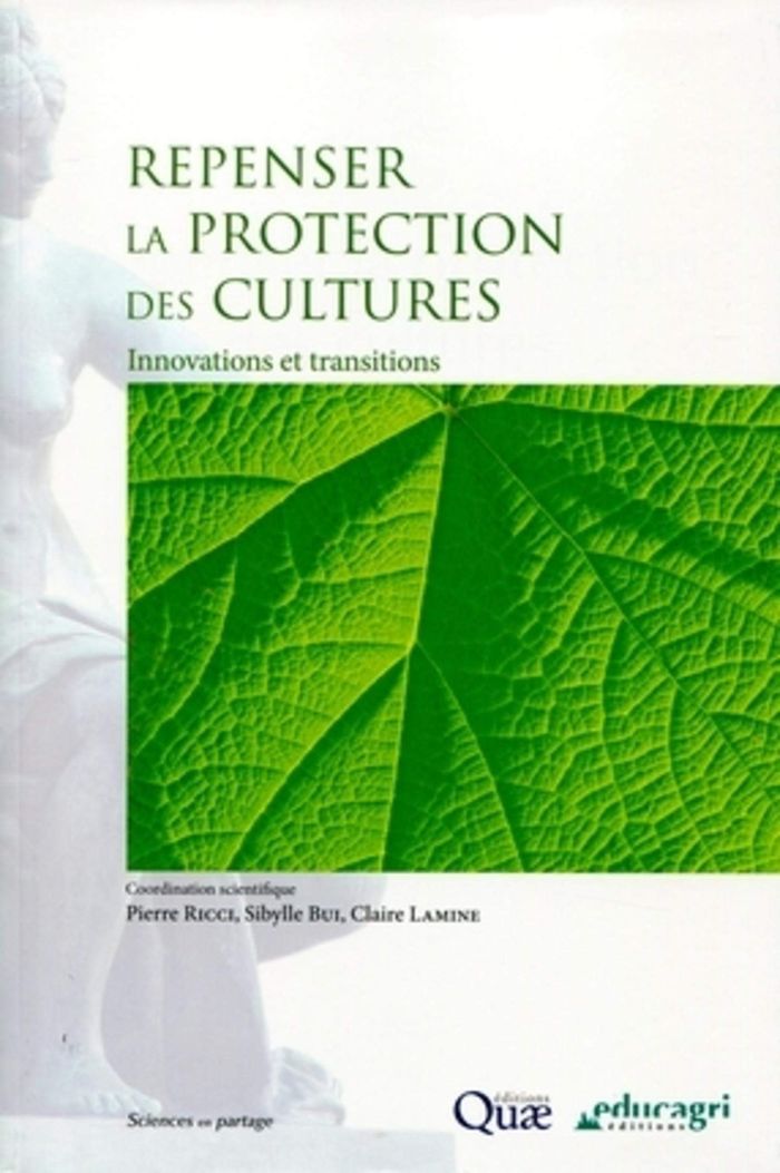 Couverture du livre « REPENSER LA PROTECTION DES CULTURES - INNOVATIONS ET TRANSITION. » de Ricci/bui/lamine, librairie Les Contes Infusés à Corte