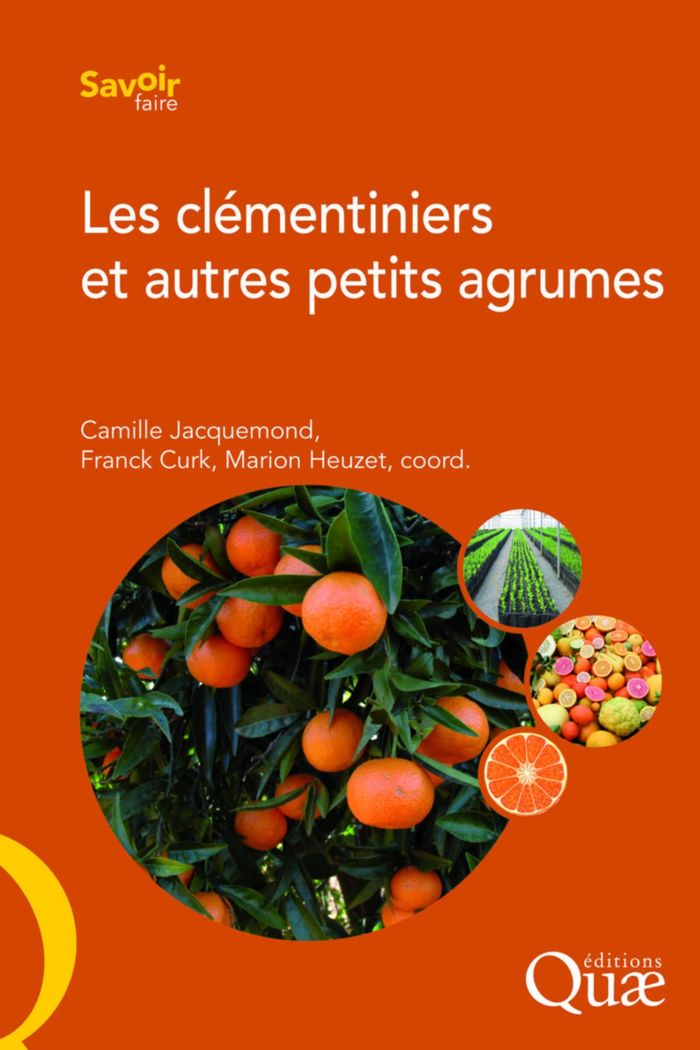 Couverture du livre « LES CLEMENTINIERS ET AUTRES PETITS AGRUMES » de Jacquemond/curk, librairie Les Contes Infusés à Corte