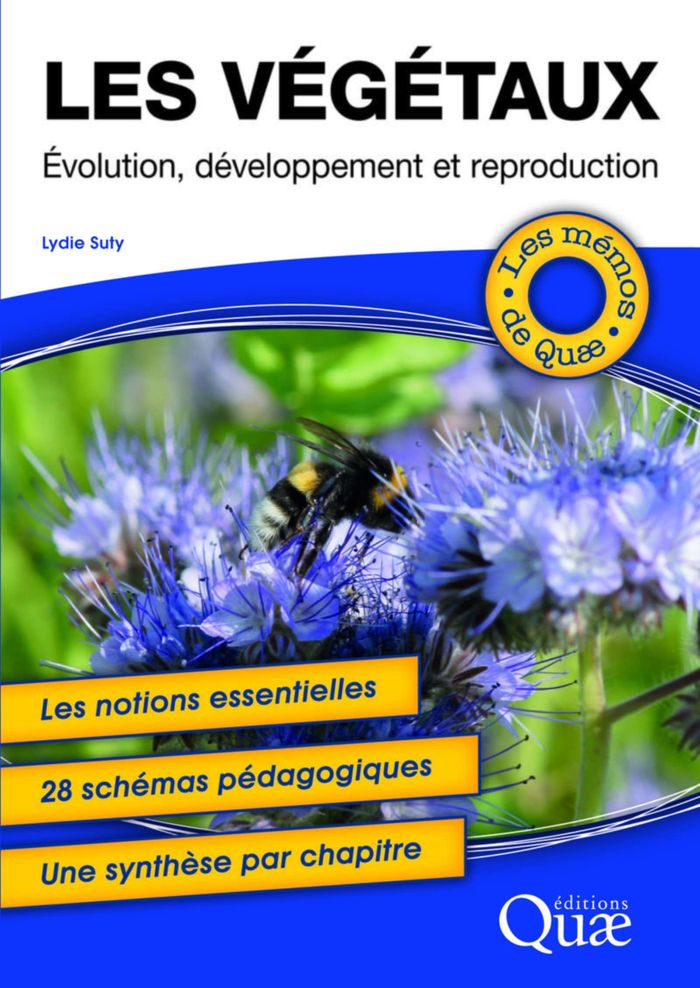 Couverture du livre « LES VEGETAUX - EVOLUTION, DEVELOPPEMENT ET REPRODUCTION - LES NOTIONS ESSENTIELLES. 28 SCHEMAS PEDAG » de Lydie Suty, librairie Les Contes Infusés à Corte