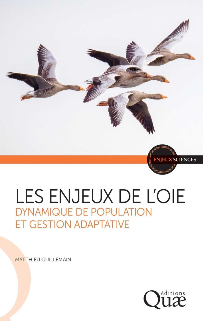 Couverture du livre « Les enjeux de l'oie : dynamique de population et gestion adaptative », librairie Les Contes Infusés à Corte