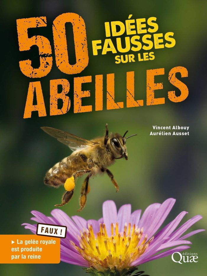 Couverture du livre « 50 idées fausses sur les abeilles » de Vincent Albouy, librairie Les Contes Infusés à Corte