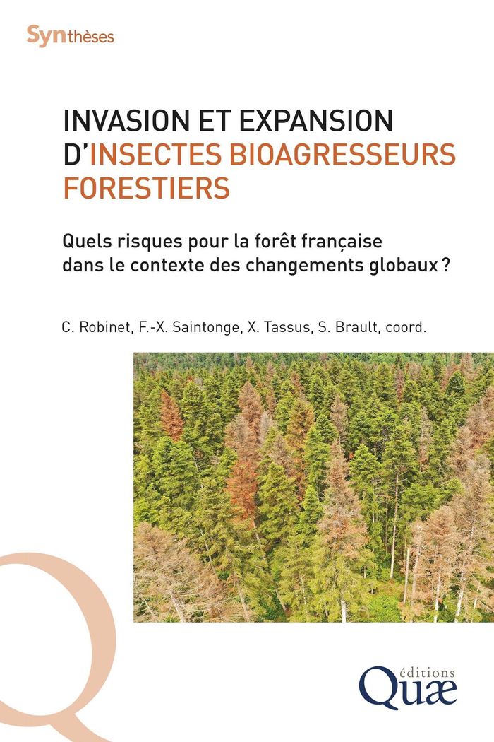 Couverture du livre « Invasion et expansion d'insectes bioagresseurs forestiers : quels risques pour la forêt française dans le contexte des changements globaux ? » de Christelle Robinet, librairie Les Contes Infusés à Corte