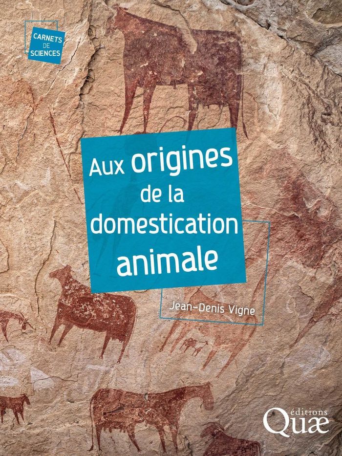 Couverture du livre « Aux origines de la domestication animale » de Jean-Denis Vigne, librairie Les Contes Infusés à Corte