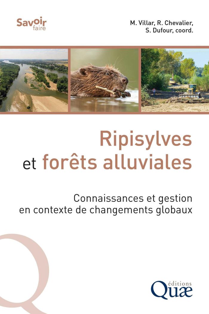 Couverture du livre « Ripisylves et forêts alluviales : connaissances et gestion en contexte de changements globaux » de Marc Villar, librairie Les Contes Infusés à Corte