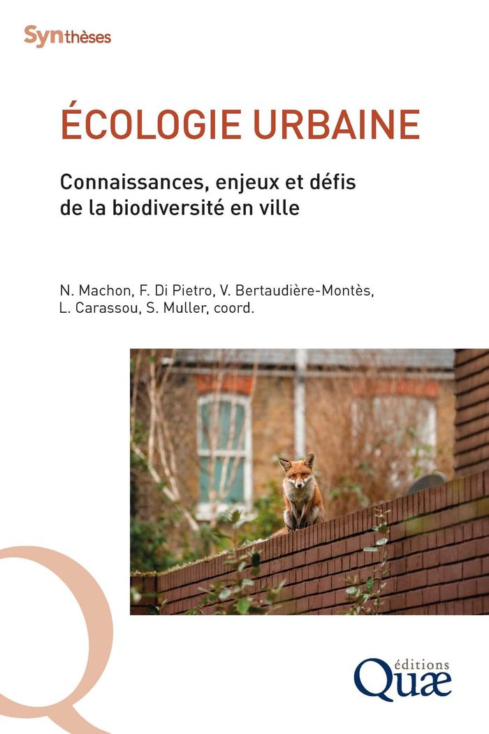 Couverture du livre « ECOLOGIE URBAINE - CONNAISSANCES, ENJEUX ET DEFIS DE LA BIODIVERSITE EN VILLE » de Pietro Machon/di, librairie Les Contes Infusés à Corte