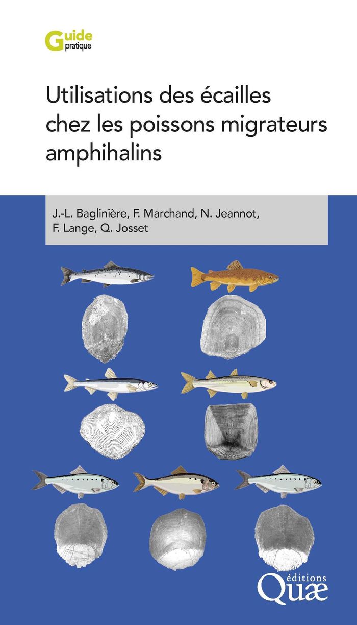 Couverture du livre « UTILISATIONS DES ECAILLES CHEZ LES POISSONS MIGRATEURS AMPHIHALINS » de Bagliniere/marchand, librairie Les Contes Infusés à Corte