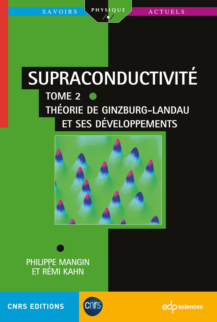 Couverture du livre « Théorie de Ginzburg-Landau et ses développements » de Philippe Mangin, librairie Les Contes Infusés à Corte