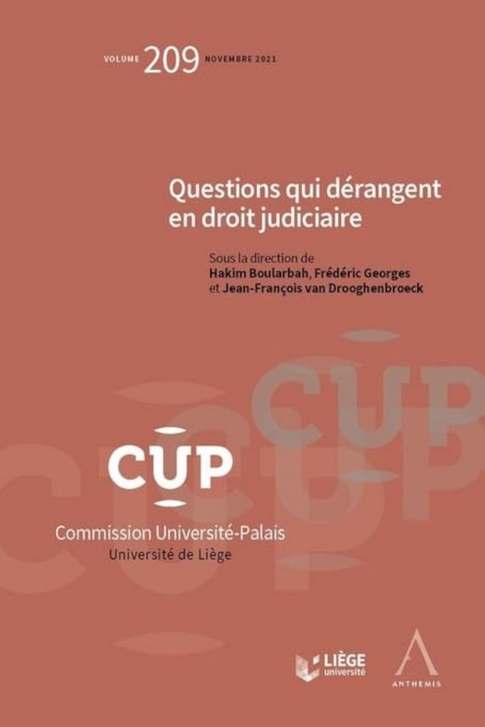 Couverture du livre « QUESTIONS QUI DERANGENT EN DROIT JUDICIAIRE - TOME 209 », librairie Les Contes Infusés à Corte