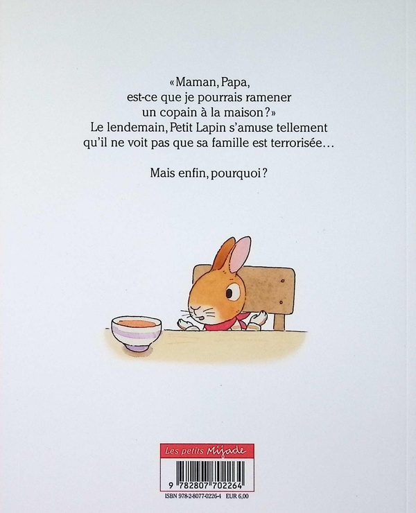 Quatrième de couverture de « Mon ami »