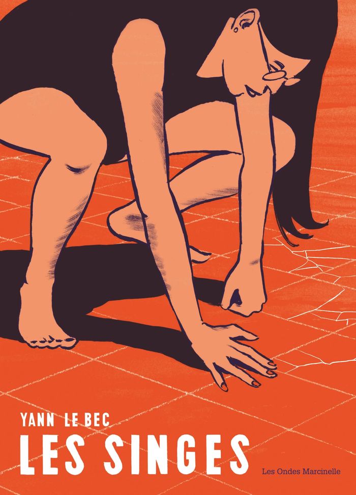 Couverture du livre « Les singes » de Yann Le Bec, librairie Les Contes Infusés à Corte
