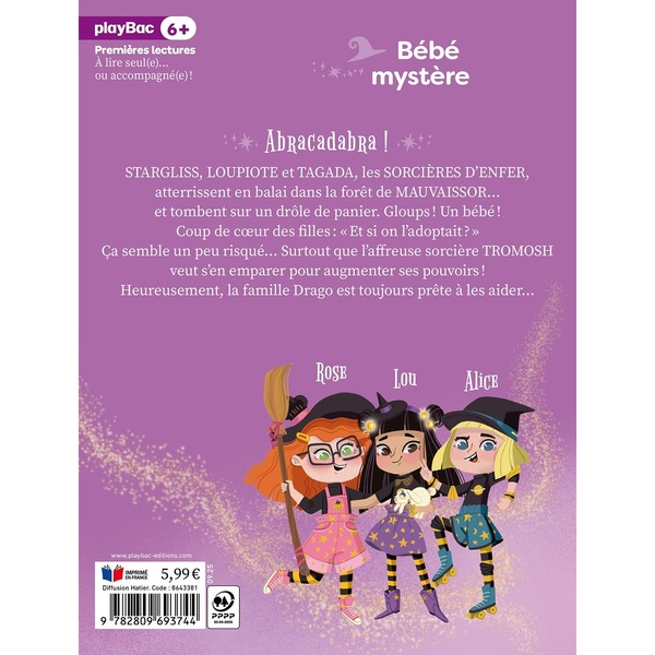 Quatrième de couverture de « Bébé mystère »