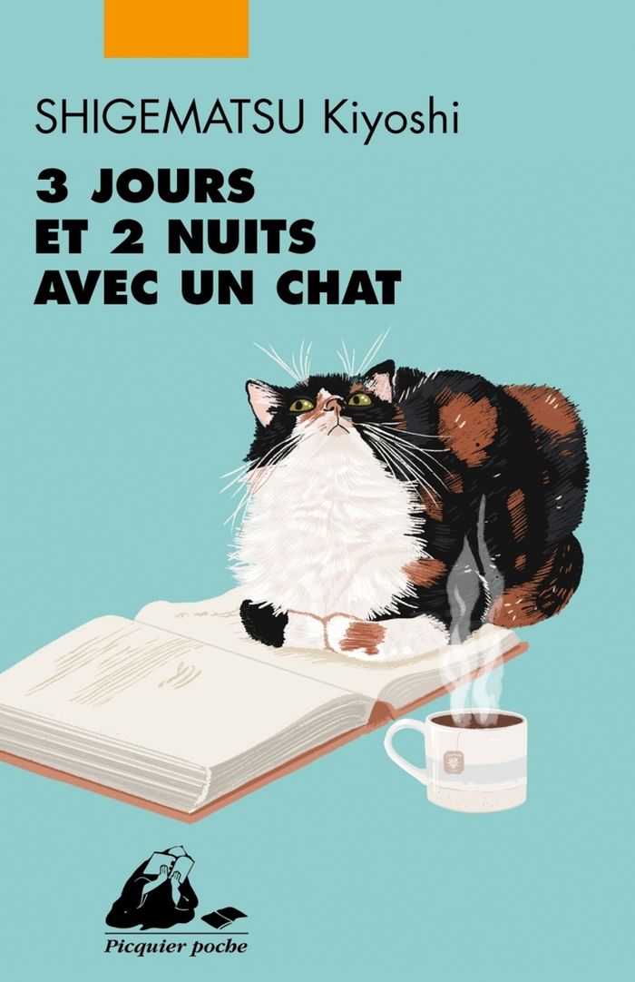 Couverture du livre « 3 jours et 2 nuits avec un chat » de Kiyoshi Shigematsu, librairie Les Contes Infusés à Corte