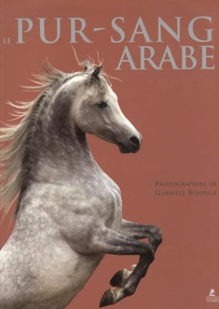 Couverture du livre « LE PUR-SANG ARABE » de Collectif/boiselle, librairie Les Contes Infusés à Corte