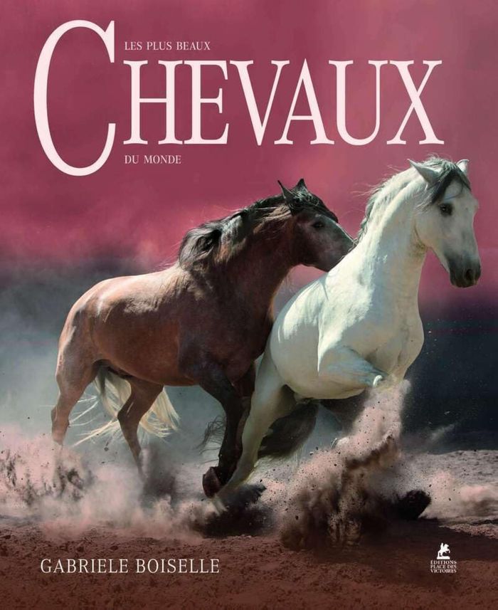 Couverture du livre « LES PLUS BEAUX CHEVAUX DU MONDE » de Gabriele Boiselle, librairie Les Contes Infusés à Corte