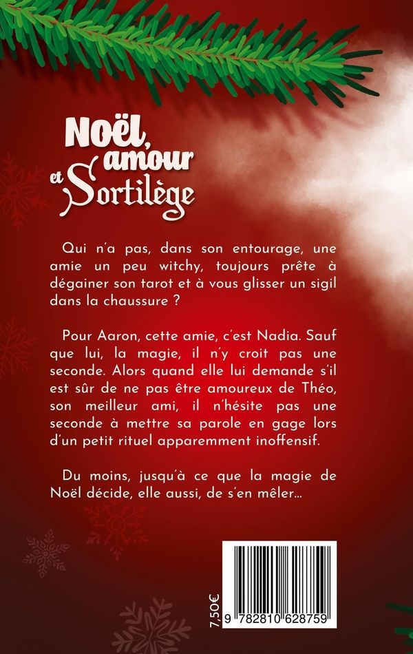 Quatrième de couverture de « Noël, amour et sortilège »