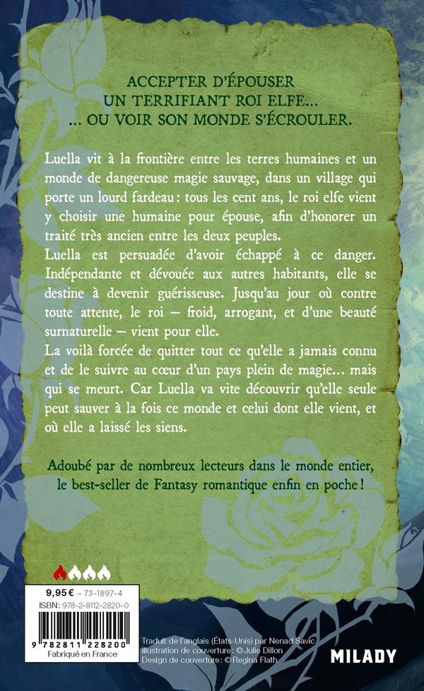 Quatrième de couverture de « Un pacte avec le roi elfe »