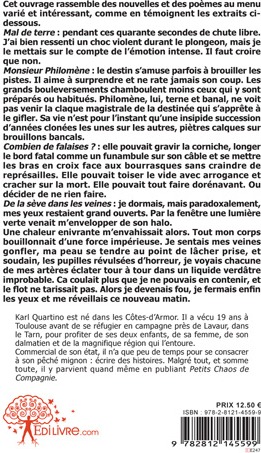Quatrième de couverture de « PETITS CHAOS DE COMPAGNIE »