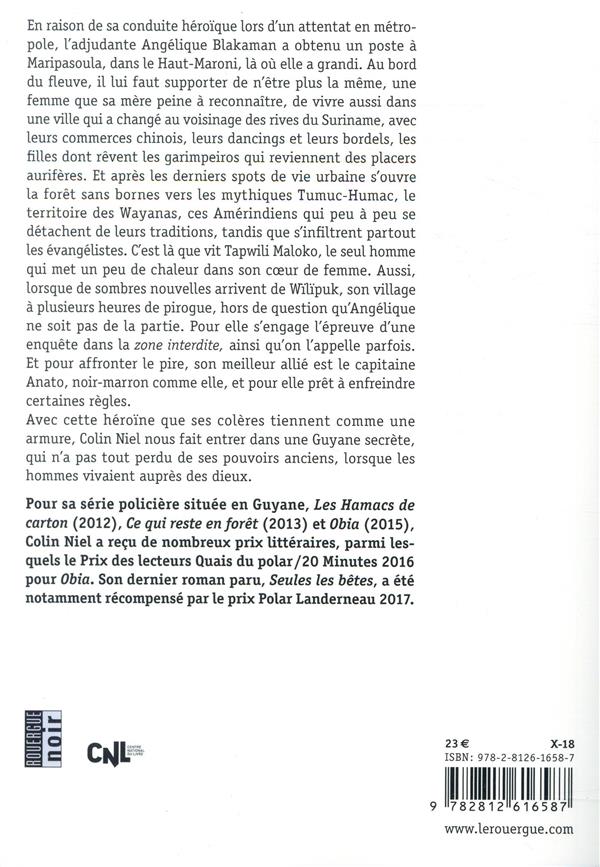 Quatrième de couverture de « Sur le ciel effondré : roman »