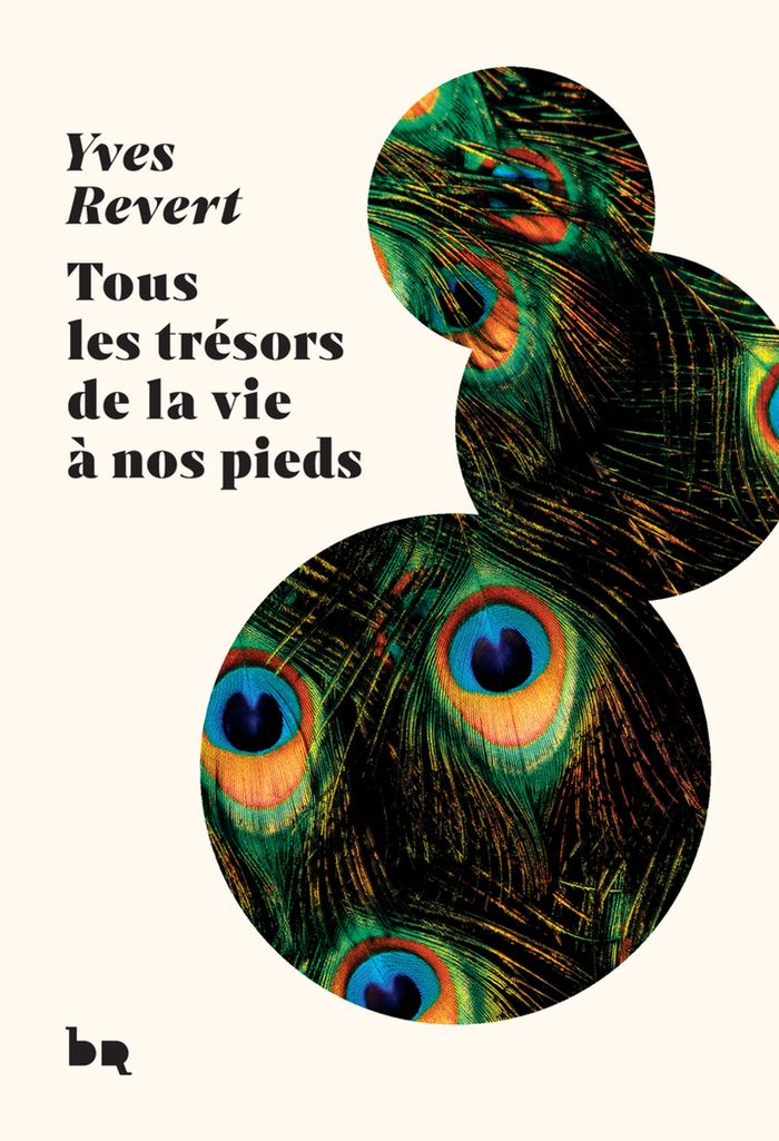 Couverture du livre « Tous les trésors de la vie à nos pieds » de Yves Revert, librairie Les Contes Infusés à Corte