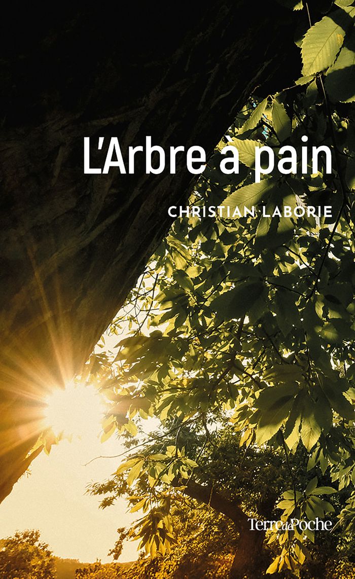 Couverture du livre « L'Arbre à pain » de Christian LABORIE, librairie Les Contes Infusés à Corte