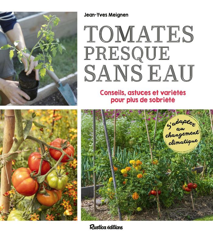 Couverture du livre « Tomates presque sans eau : conseils, astuces et variétés pour plus de sobriété » de Jean-Yves Meignen, librairie Les Contes Infusés à Corte