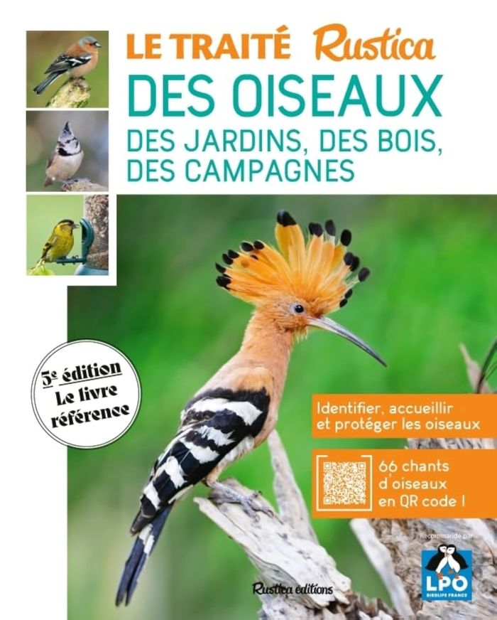 Couverture du livre « Le traité "Rustica" des oiseaux des jardins, des bois, des campagnes » de Guilhem Lesaffre, librairie Les Contes Infusés à Corte
