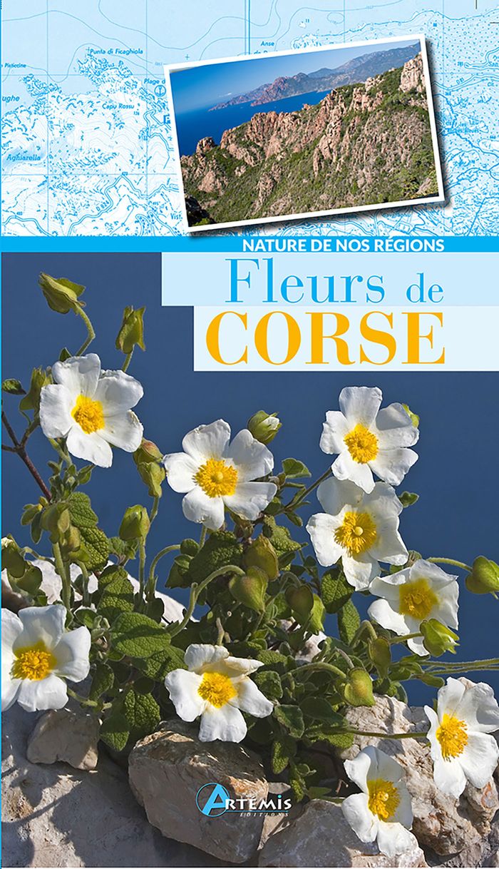 Couverture du livre « FLEURS DE CORSE », librairie Les Contes Infusés à Corte
