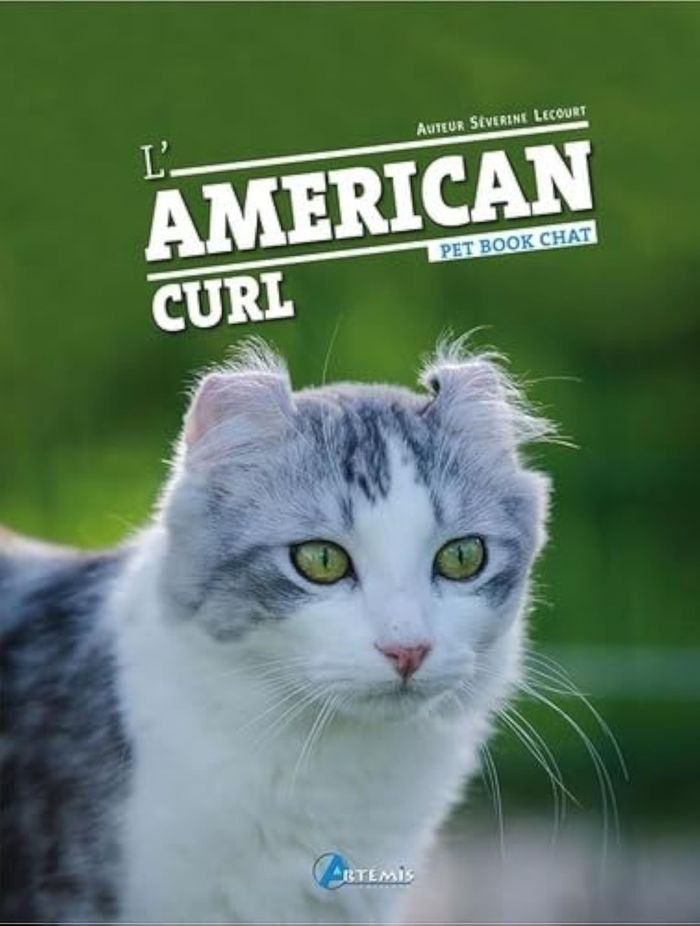 Couverture du livre « L'AMERICAN CURL » de Lecourt S, librairie Les Contes Infusés à Corte