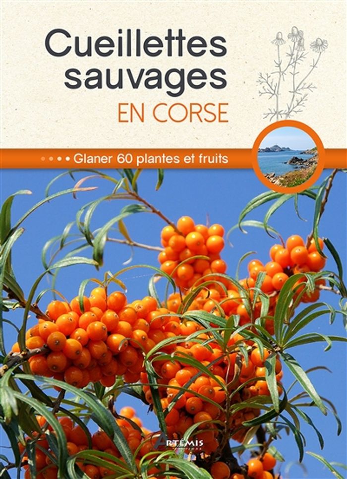 Couverture du livre « CUEILLETTES SAUVAGES EN CORSE », librairie Les Contes Infusés à Corte