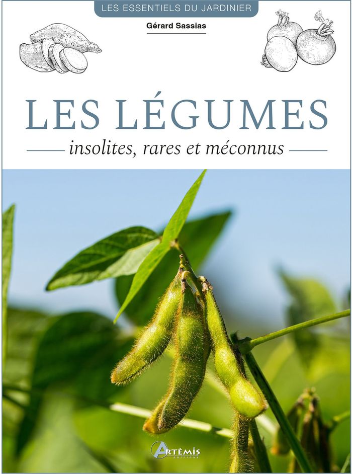 Couverture du livre « Les légumes : insolites, rares et méconnus » de Gérard Sasias, librairie Les Contes Infusés à Corte