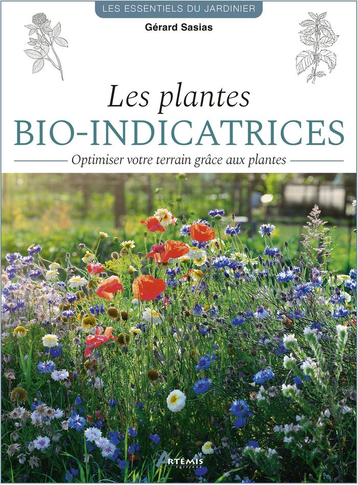 Couverture du livre « Les plantes bio-indicatrices : optimiser votre terrain grâce aux plantes » de Gérard Sasias, librairie Les Contes Infusés à Corte
