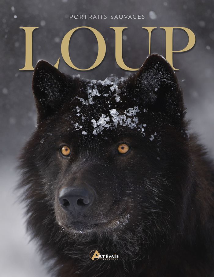 Couverture du livre « Loup » de Maurice Dupérat, librairie Les Contes Infusés à Corte