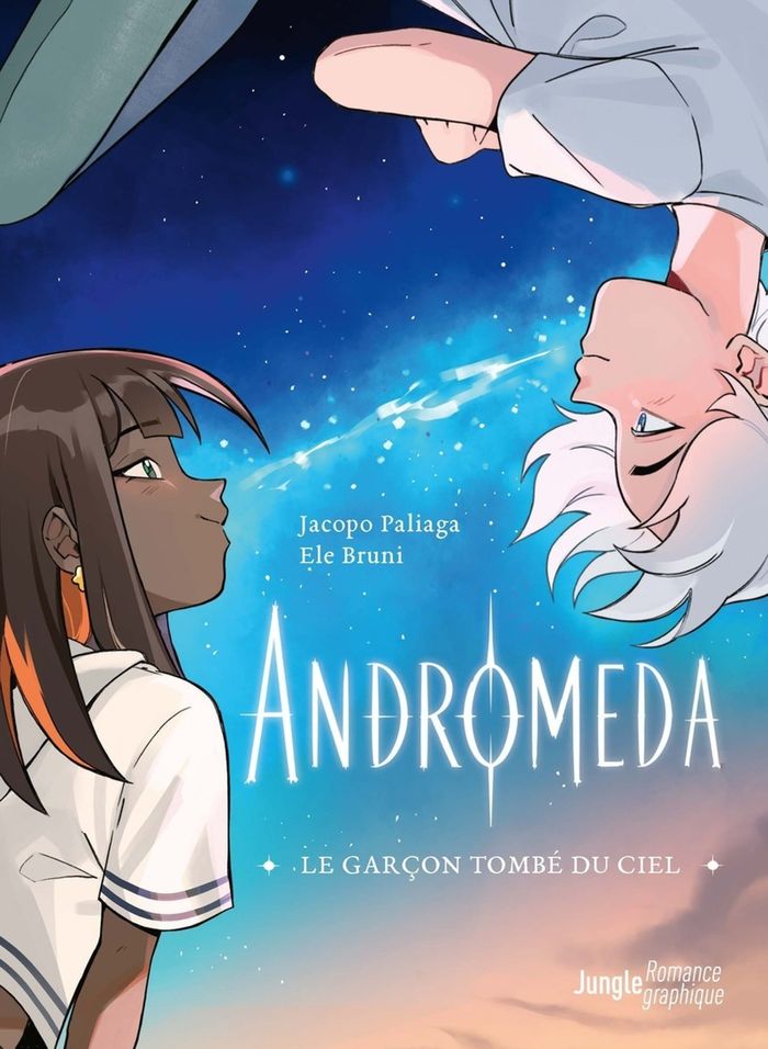 Couverture : ANDROMEDA - LE GARCON TOMBE DU CIEL
