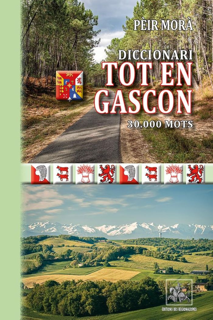 Couverture du livre « DICCIONARI TOT EN GASCON 30.000 MOTS », librairie Les Contes Infusés à Corte