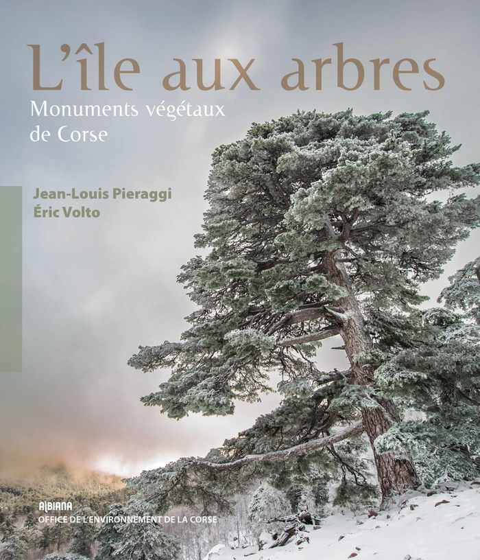 Couverture du livre « L ILE AUX ARBRES », librairie Les Contes Infusés à Corte