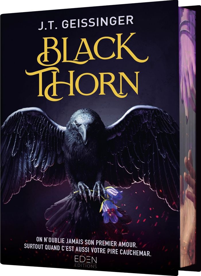 Couverture du livre « Blackthorn » de J. T. Geissinger, librairie Les Contes Infusés à Corte